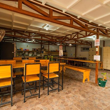 Arenal Sloth Hostel Ла Фортуна Экстерьер фото